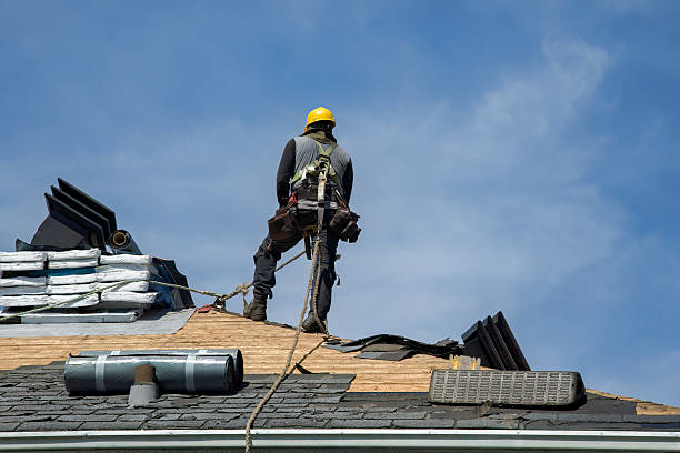 Professional Roof Replacement technician working in Percival, IA